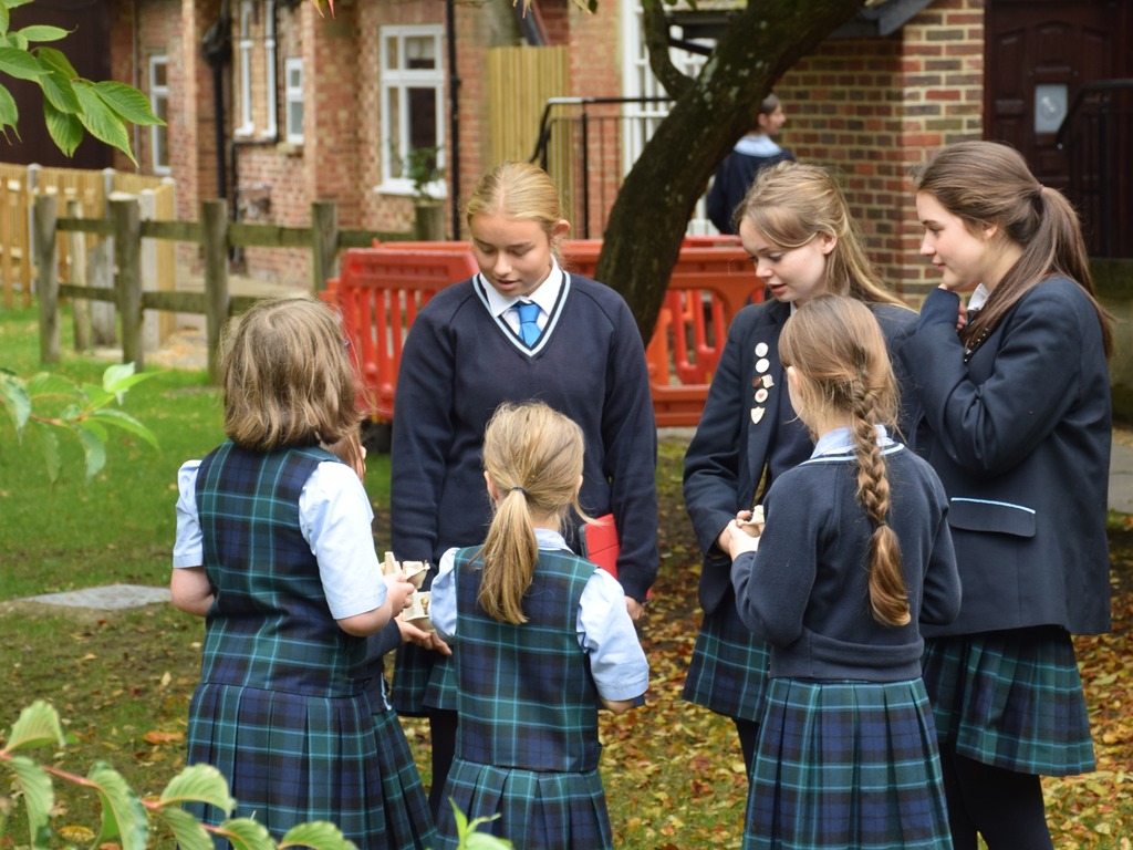 Growing Leaders, Growing Green: Our Trailblazing Environment Leaders Programme