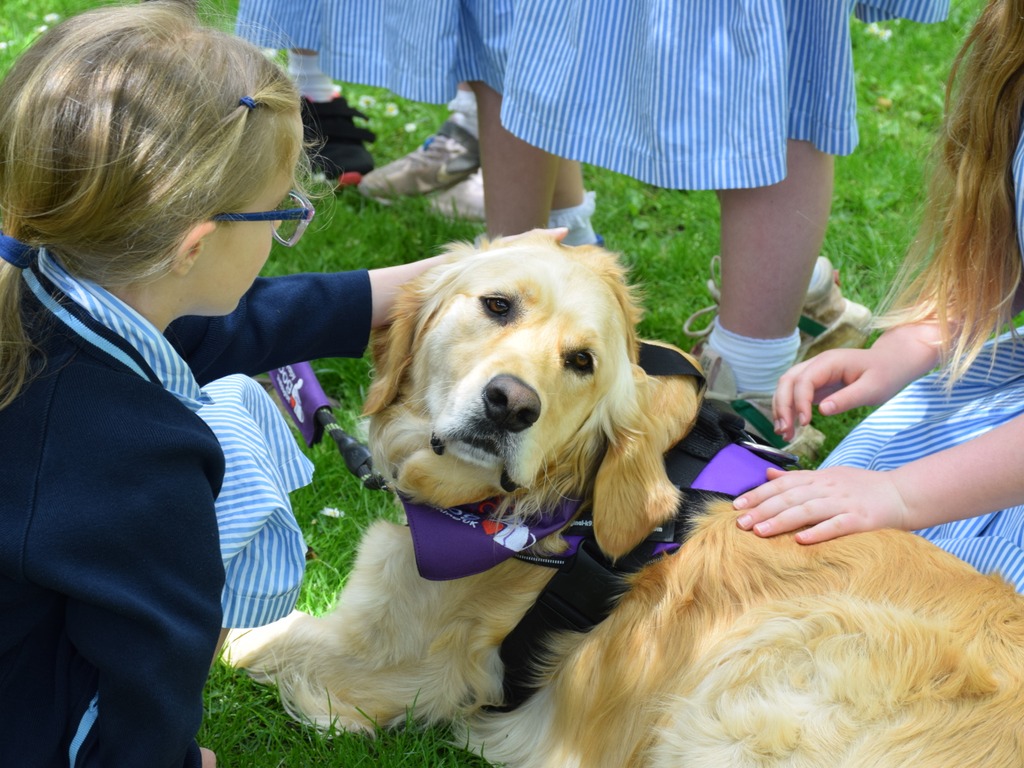 Manor House School Wellbeing Award