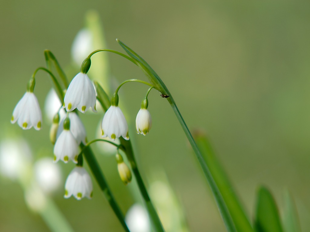 Thoughts for the Holiday Break – Sarah Parker, Head Portsmouth High School, GDST