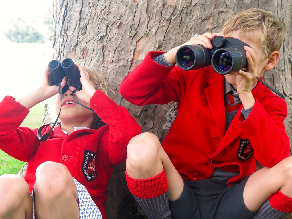 birdwatching