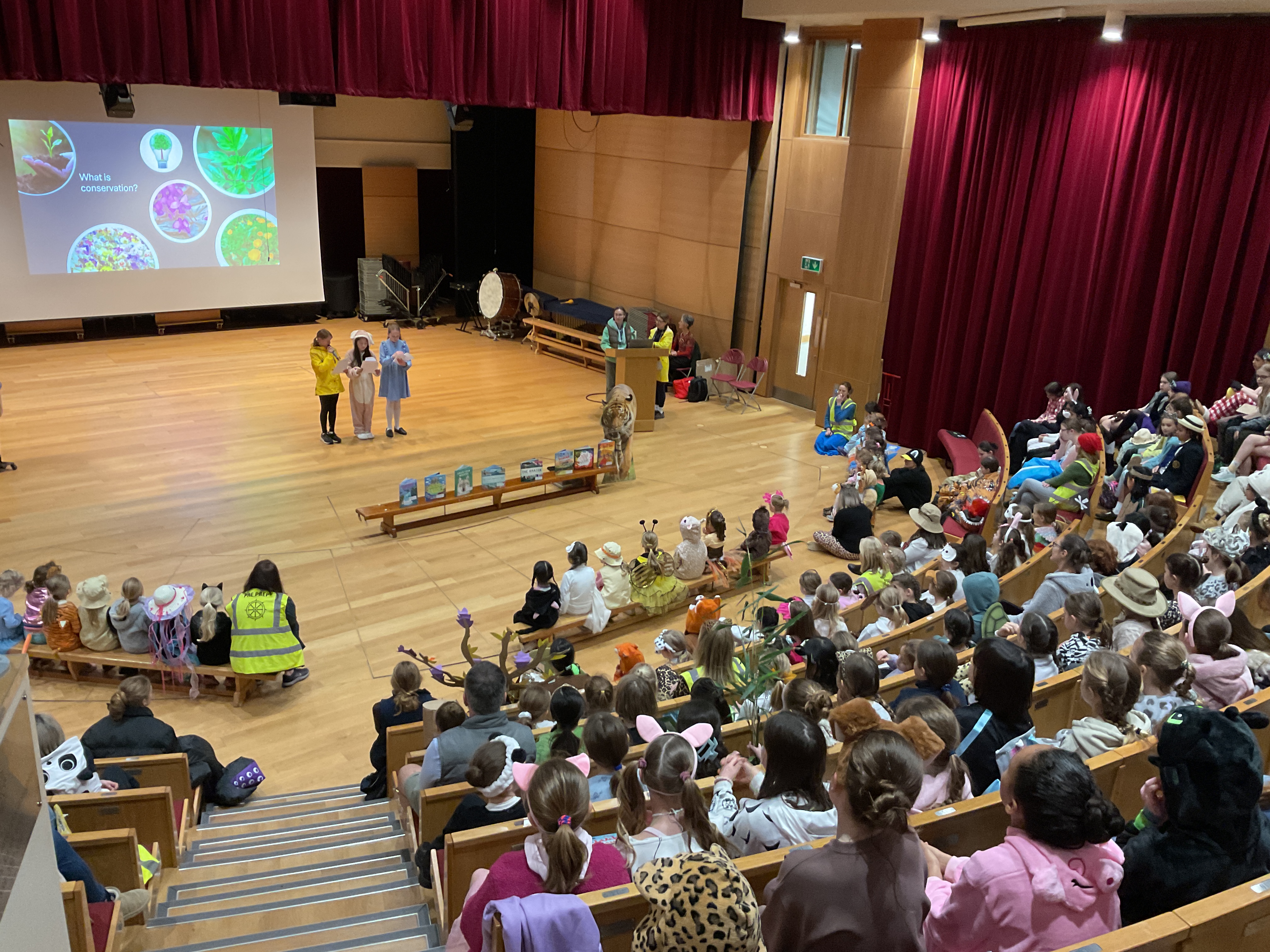 Book Week 2026 – A Celebration of Stories and Sustainability