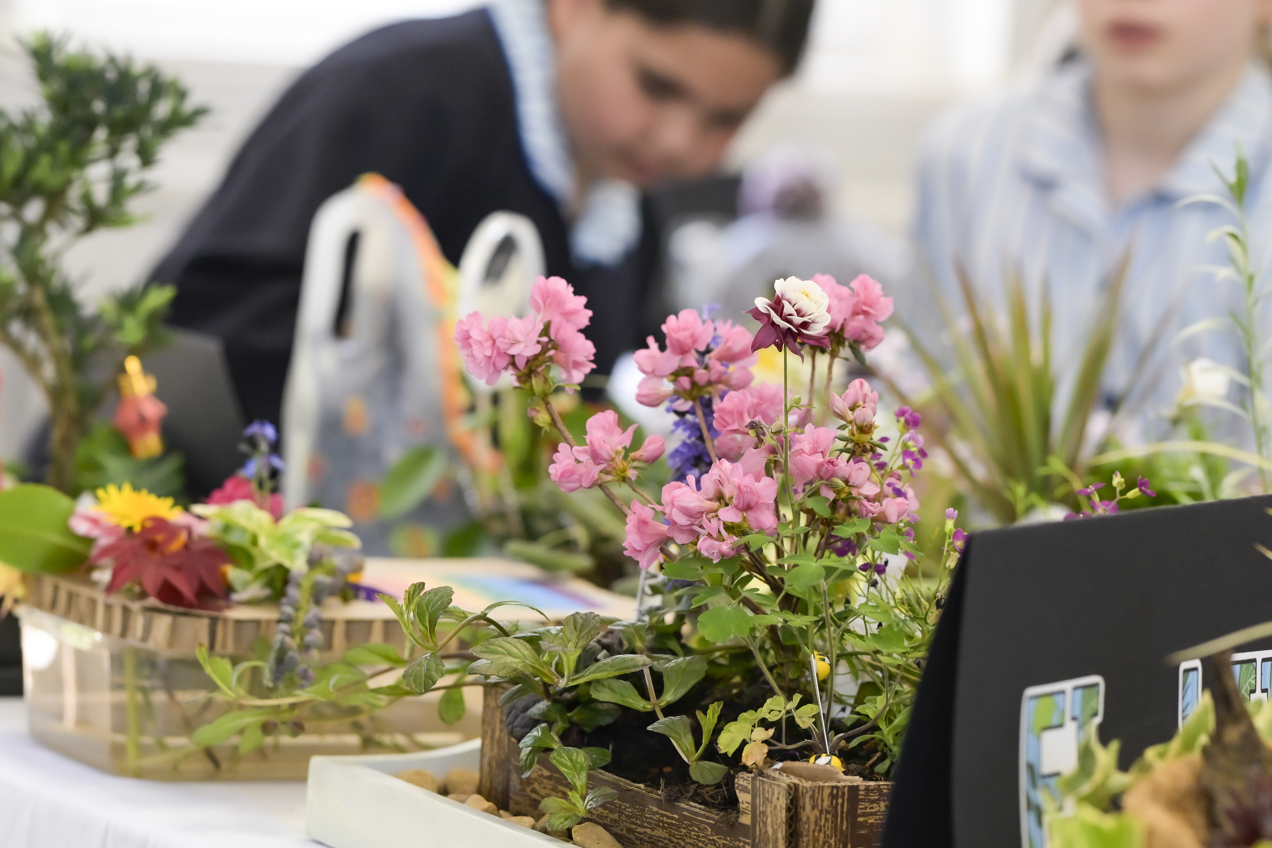 The Art Department Ink Garden