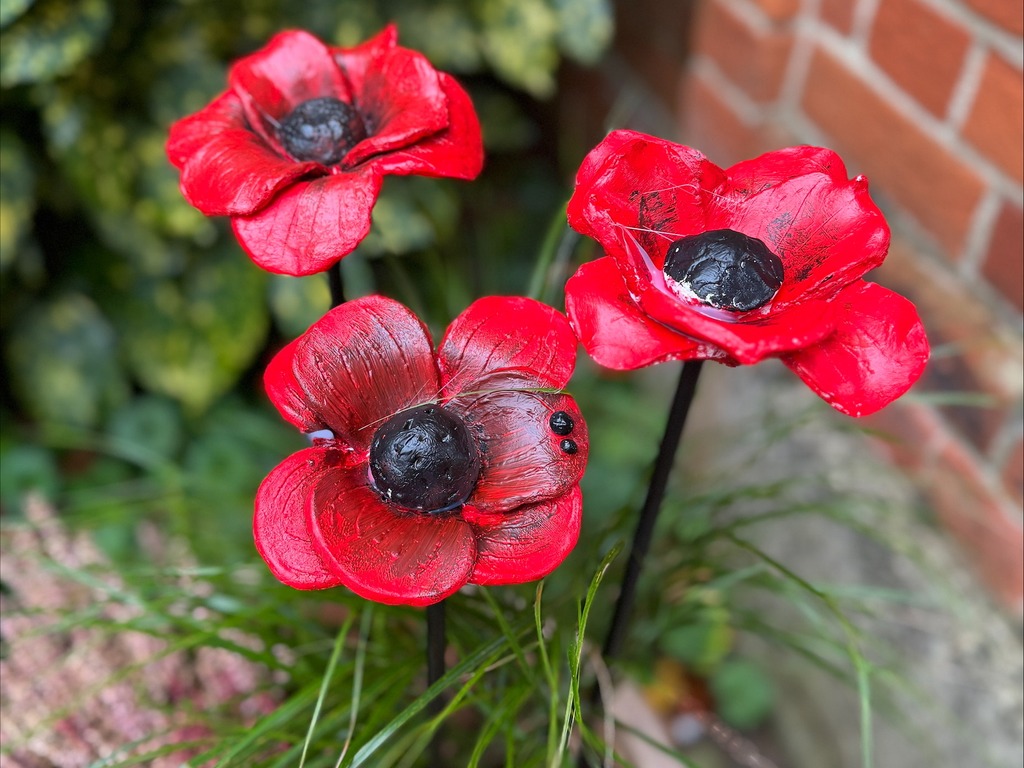 A Day to Remember and Reflect