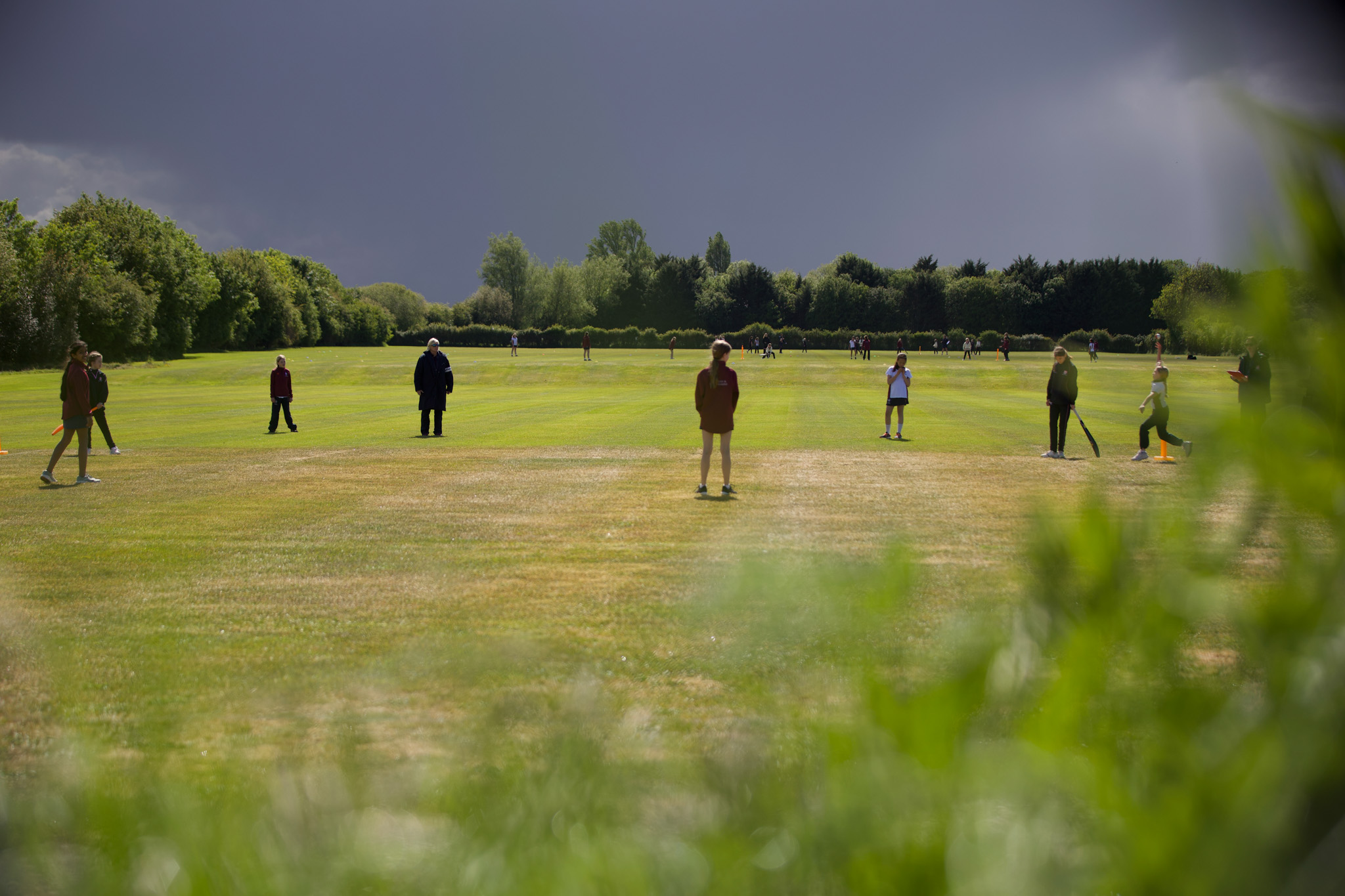 Cricket season delivers success across every age group