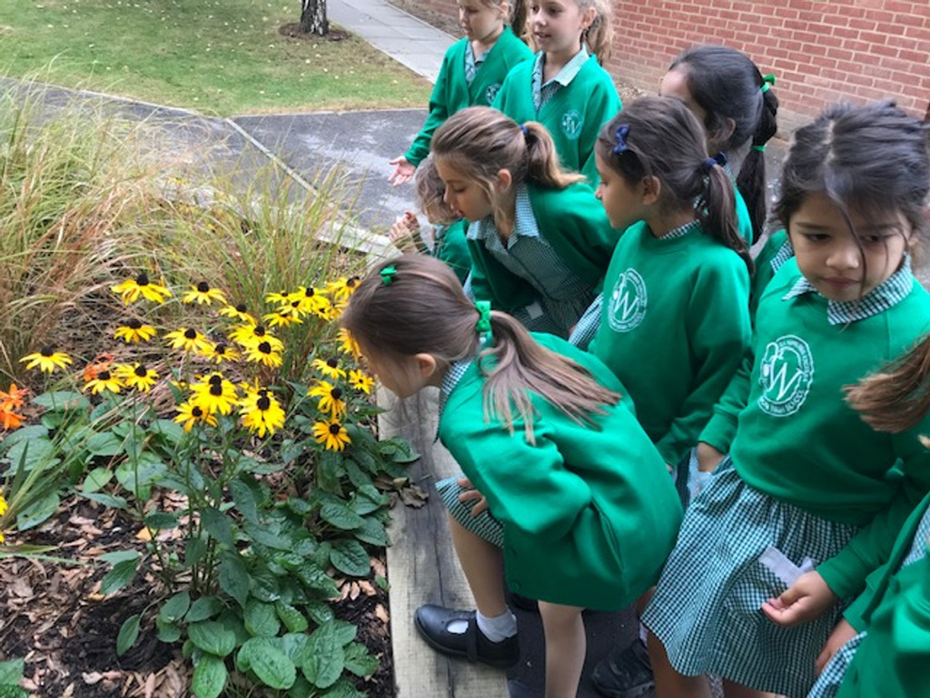 Year 2 in the garden