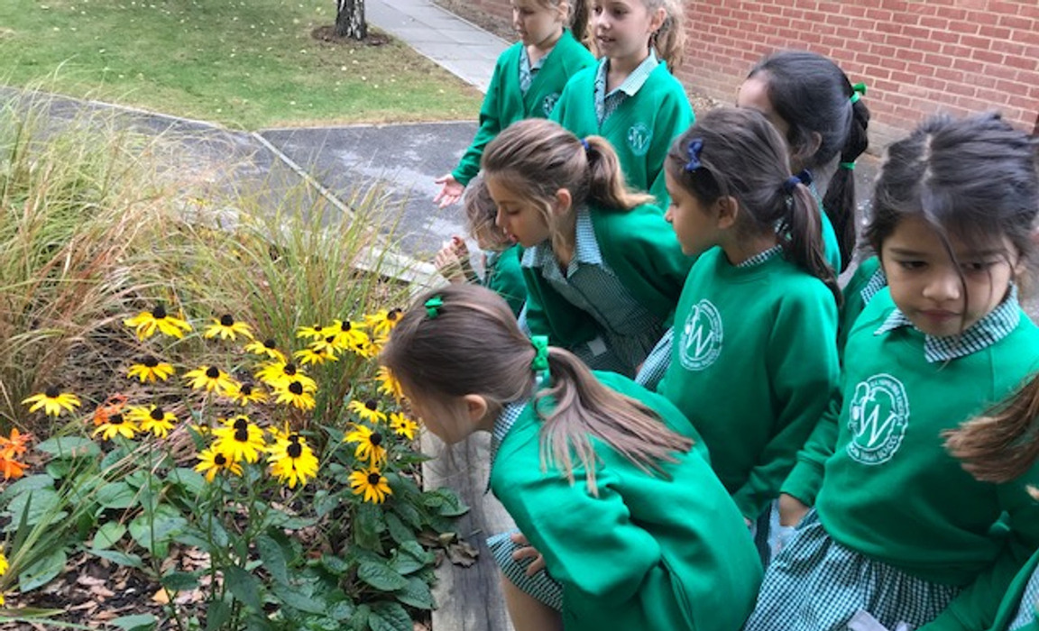 Year 2 in the garden